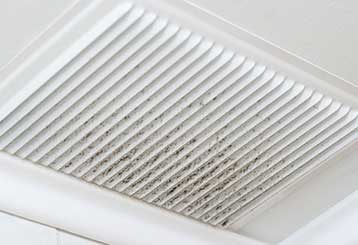 Is Mold in My Air Ducts Dangerous? | Air Duct Cleaning Los Angeles, CA