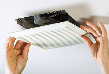 The Main Reasons To Get Professional Air Duct Cleaning | Air Duct Cleaning Los Angeles, CA